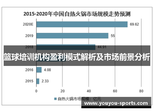 篮球培训机构盈利模式解析及市场前景分析